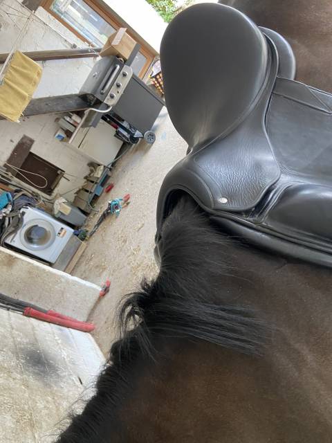 Selle de dressage CWD 18 pouces 