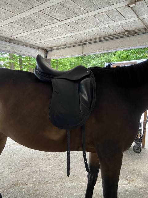 Selle de dressage CWD 18 pouces 