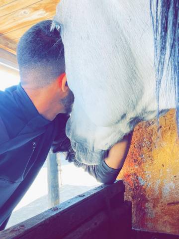 Sofien 36 ans Palefrenier pour un poste logé 