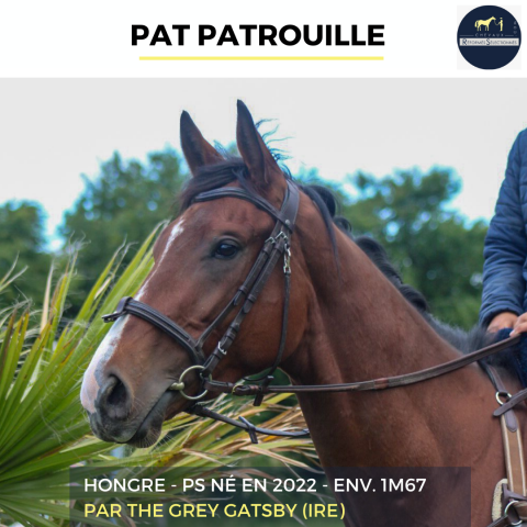 PAT PATROUILLE - PS - 3 ANS