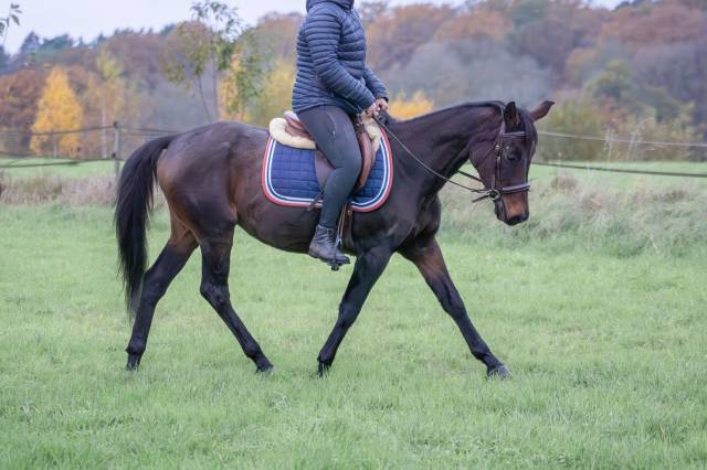 Ponette 14 ans 