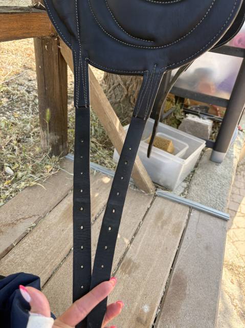 Selle Antares cadence