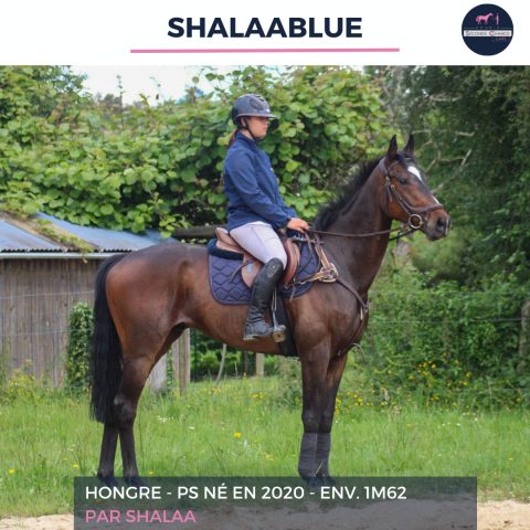 SHALAABLUE - PS - 5 ANS
