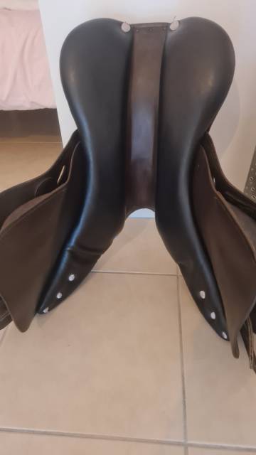 Selle Privilege 17 pouces 2018