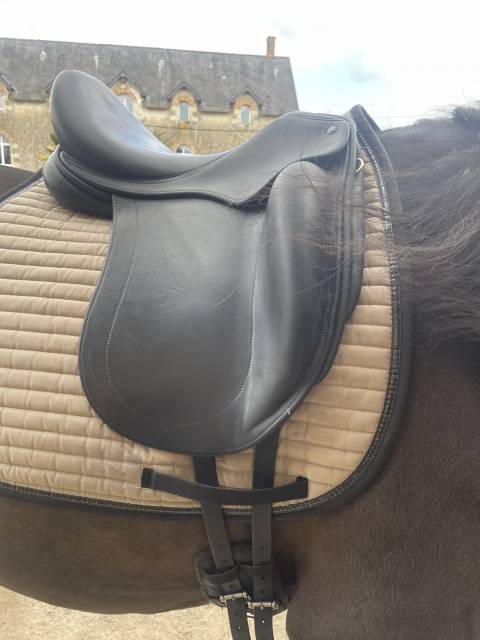 Selle de dressage Childeric DHE 
