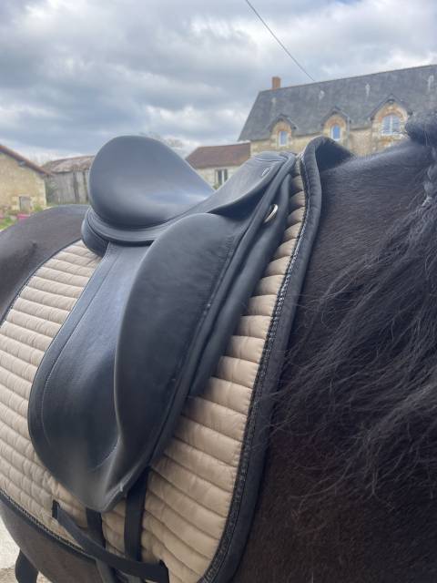Selle de dressage Childeric DHE 
