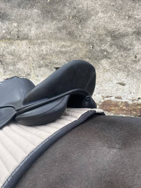 Selle de dressage Childeric DHE 