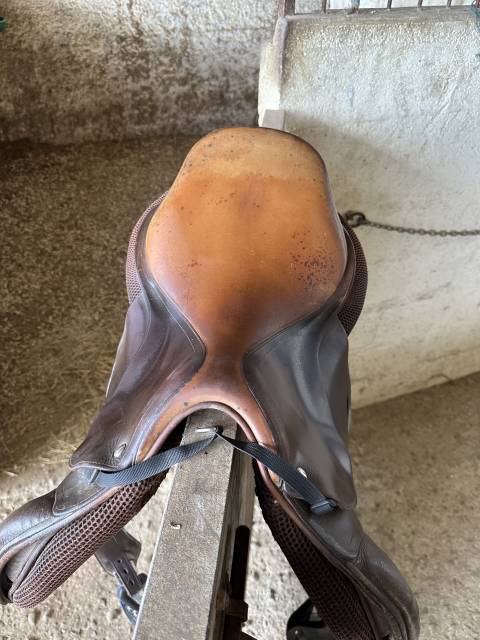 Selle équitation 