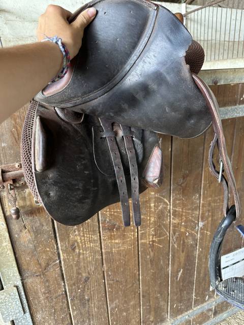 Selle équitation 