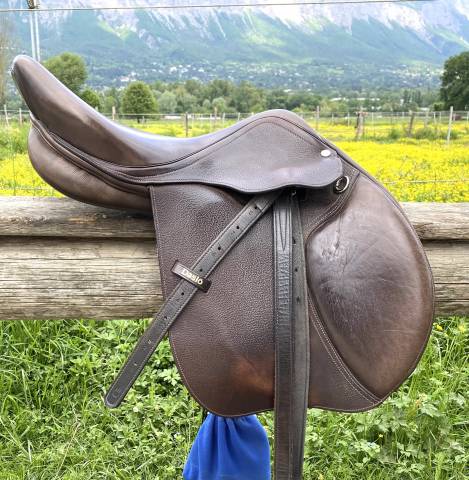 Selle mixte Gold Daslö Tattini