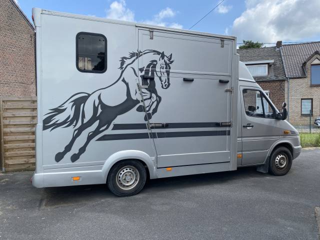 Camionnette chevaux 