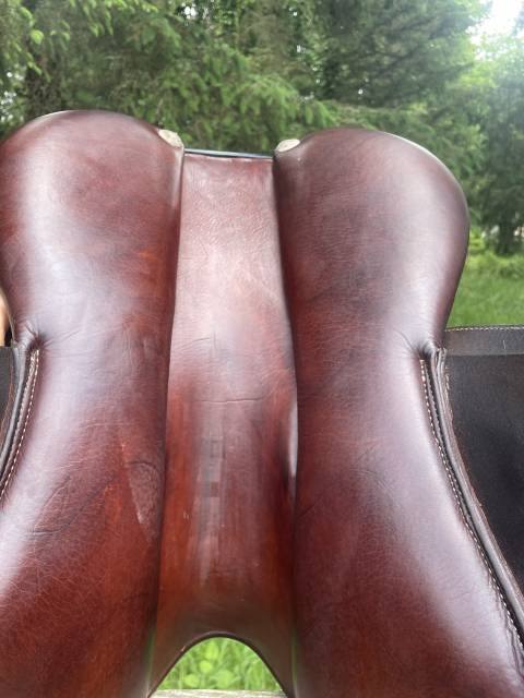 Magnifique selle Gbs