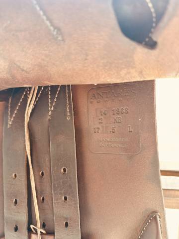 Selle Antares Obstacle Confort 2014