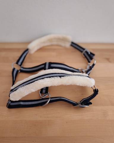 Licol poney bleu et blanc cassé avec mouton