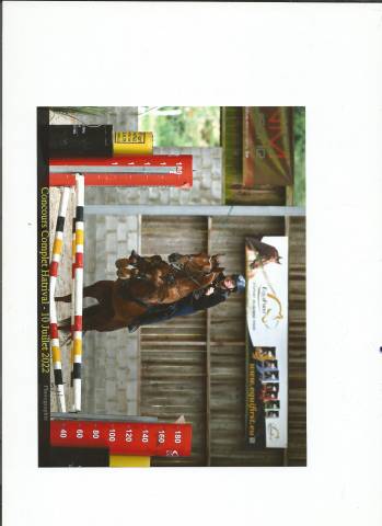 FIRST DREAM - Cheval de sport CCE 