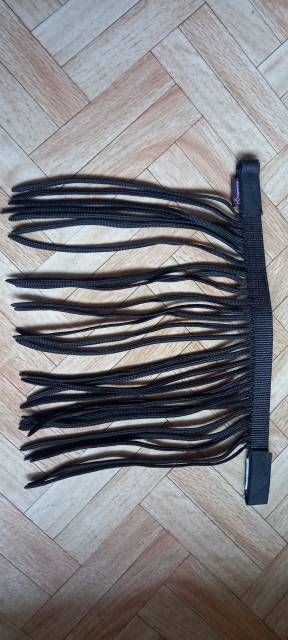 Frontal chasse mouche 
