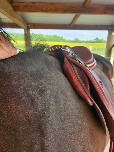 DEVOUCOUX BIARRITZ O 3 AAB Havane