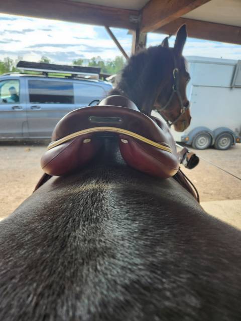 DEVOUCOUX BIARRITZ O 3 AAB Havane