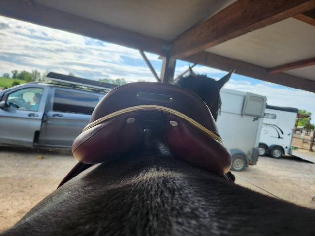 DEVOUCOUX BIARRITZ O 3 AAB Havane