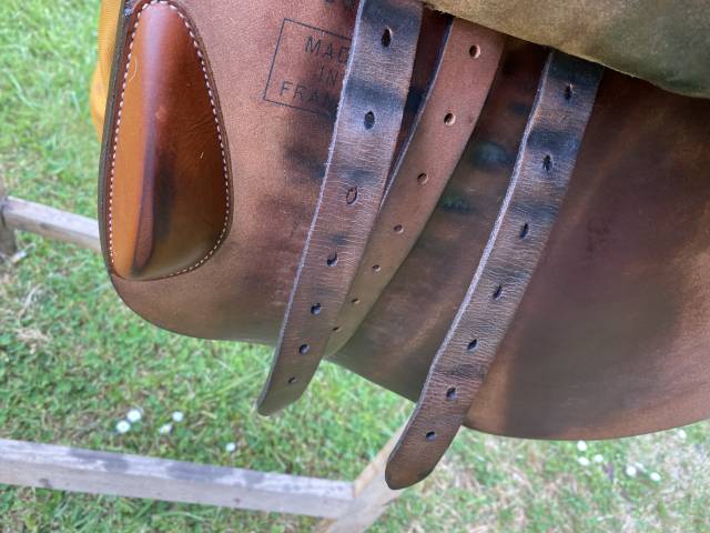 Selle Butet 17,5 de 2021 