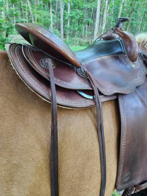 Selle Western Continental