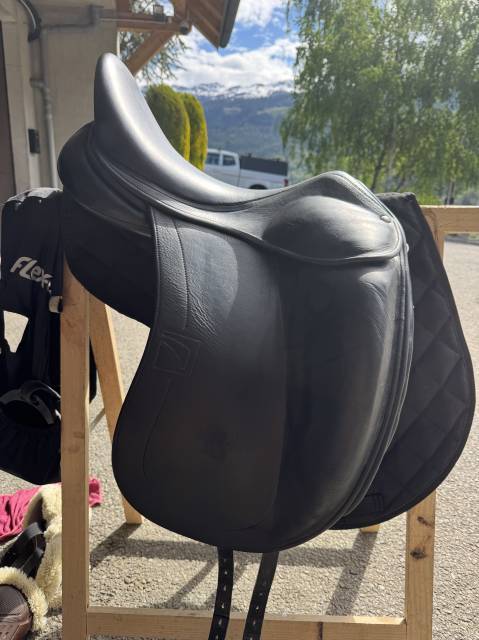 selle dressage 