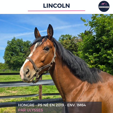 LINCOLN - PS - 6 ANS
