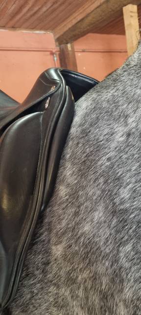 Selle dressage ÉQUIPE WIKTORIA 17,5