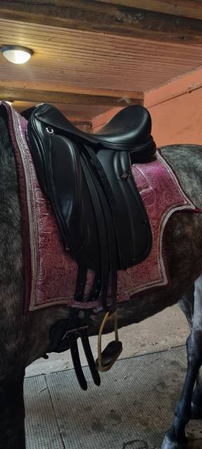 Selle dressage ÉQUIPE WIKTORIA 17,5
