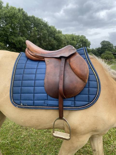 Selle forestier 17"5
