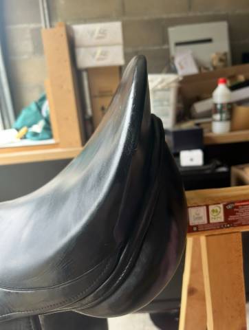 selle forestier dressage 