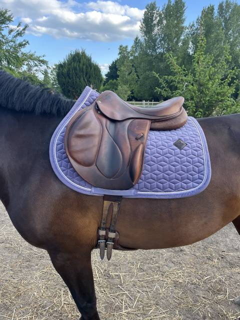 Selle Devoucoux chiberta