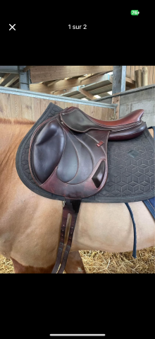 Selle Antares 