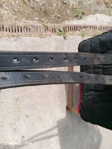 Selle de Dressage Ludomar Geminis