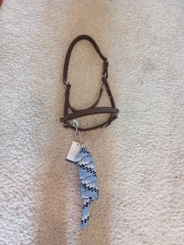 Licol en cuir Norton et longe equitheme 