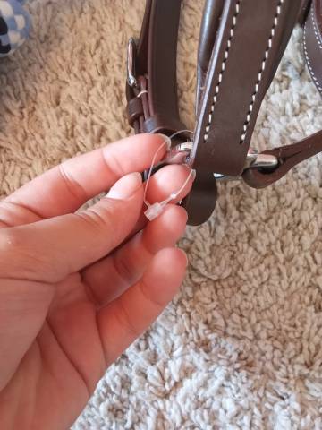 Licol en cuir Norton et longe equitheme 