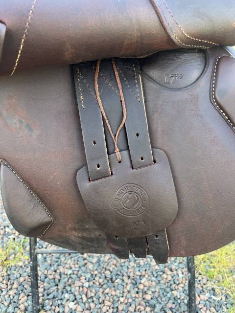 Selle Signature by Antarès 17"