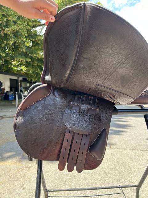 Selle equipe - Ecarbon