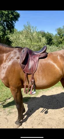 Selle Makila lab Devoucoux 