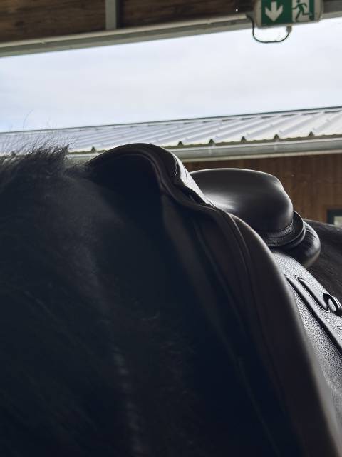 Selle GBS 17,5’’ 2022 