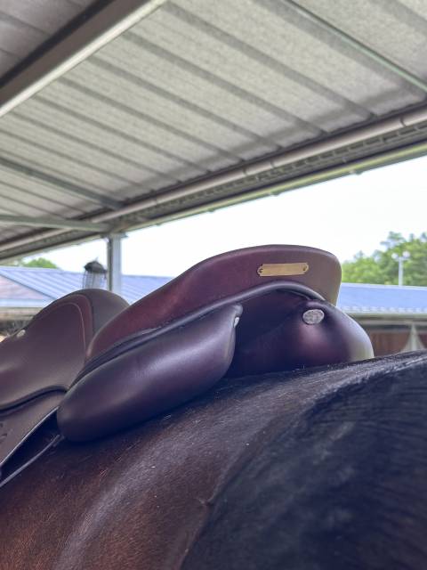 Selle GBS 17,5’’ 2022 