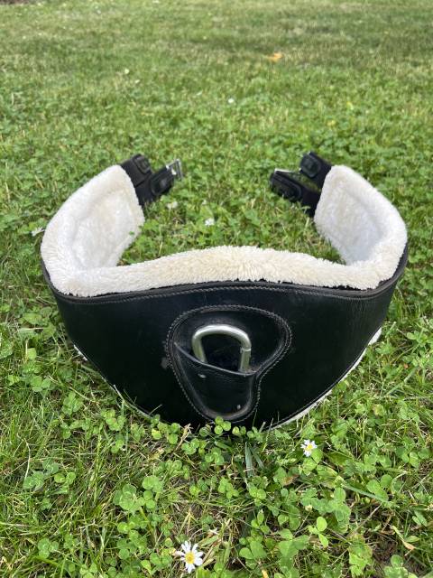 Sangle mouton canter 