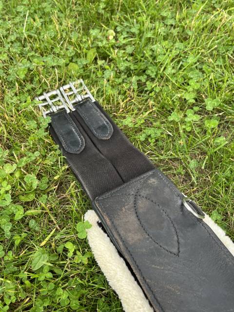 Sangle mouton canter 