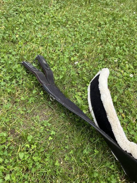 Sangle mouton canter 