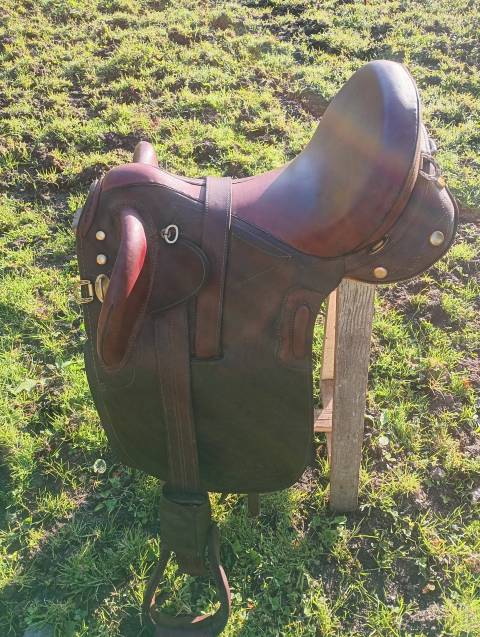 vend selle australienne 