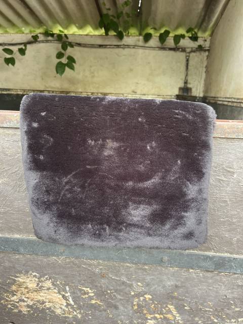 Protège poitrail Pénélope