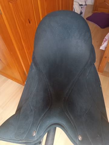 Wintec dressage Icon