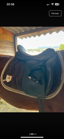Selle dressage maestoso de luxe 