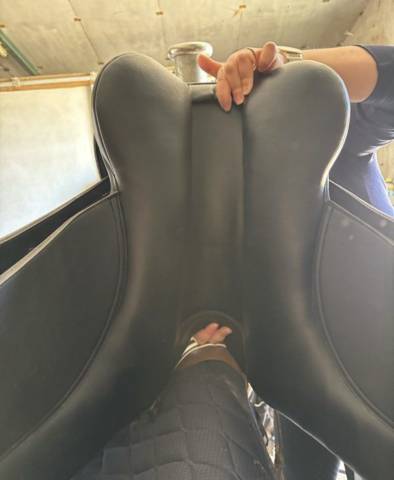 Lexys dressage taille 15 qui taille grand *