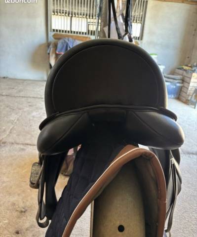 Lexys dressage taille 15 qui taille grand *